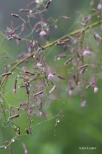 20100801_057.jpg