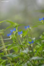 20100801_081.jpg