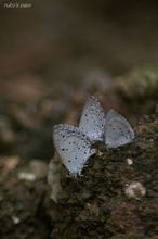 20100801_162.jpg