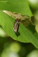 20100808_001.jpg