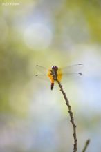 20100808_139.jpg