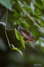 20100808_165.jpg