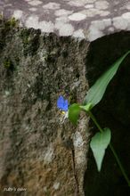 20100815_003.jpg