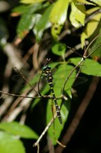 20100815_065.jpg