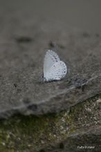 20100815_078.jpg
