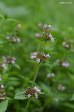 20100815_114.jpg
