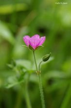 20100815_120.jpg