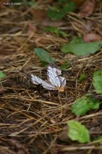 20100815_145.jpg