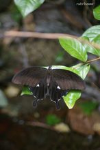 20100815_183.jpg