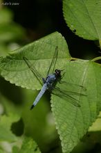 20100815_191.jpg