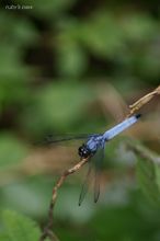 20100815_206.jpg
