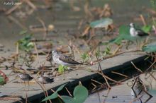 20100821_038.jpg