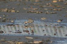 20100821_110.jpg
