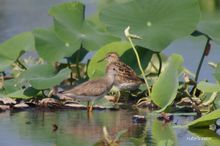 20100821_127.jpg