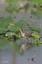 20100821_131.jpg