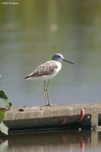 20100821_154.jpg