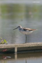 20100821_158.jpg