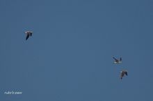 20100821_208.jpg