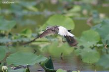20100822_034.jpg
