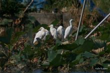 20100925_154.jpg