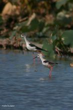 20100925_183.jpg