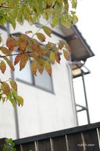 20100930_237.jpg