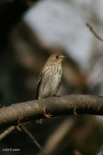 20101005_967.jpg