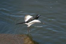 20101103_032.jpg