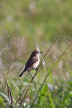 20101103_067.jpg