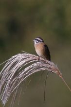 20101103_087.jpg