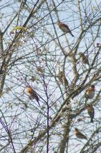 20101103_135.jpg
