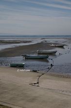 20101103_236.jpg