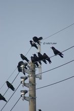 20101106_047.jpg