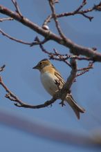 20101106_082.jpg