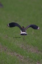 20101106_155.jpg
