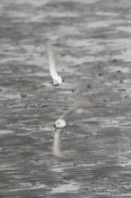 20101113_032.jpg