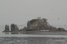 20101113_160.jpg