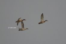 20101114_089.jpg