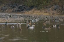 20101114_269.jpg