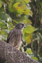 20101114_312.jpg