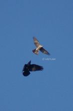 20101117_255.jpg
