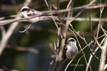 20101117_297.jpg