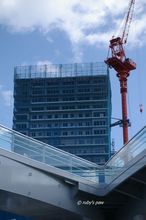 20101209_066.jpg