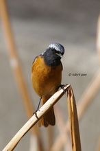 20101218_323.jpg