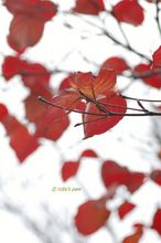 20101221_043.jpg