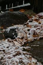 20101226_029.jpg