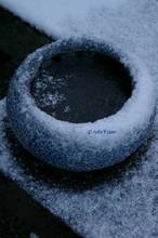 20101231_009.jpg