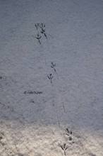 20110101_011.jpg