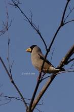 20110106_032.jpg