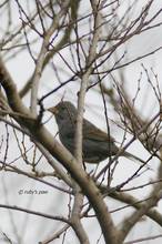 20110113_003.jpg
